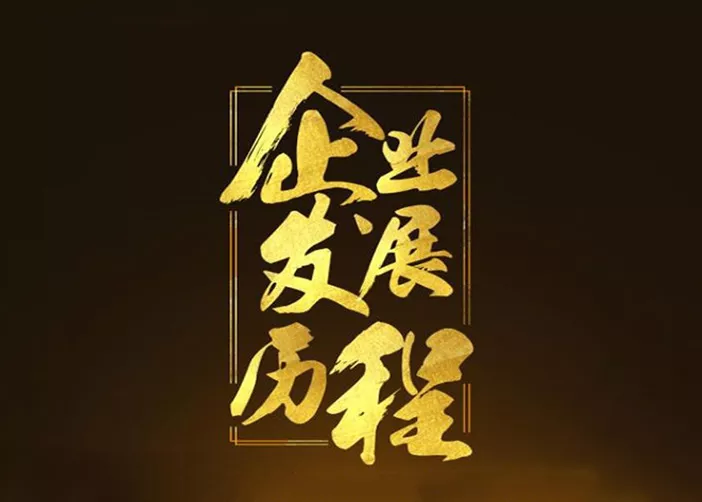 企业发展历程